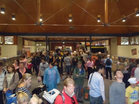 Crowd Shot